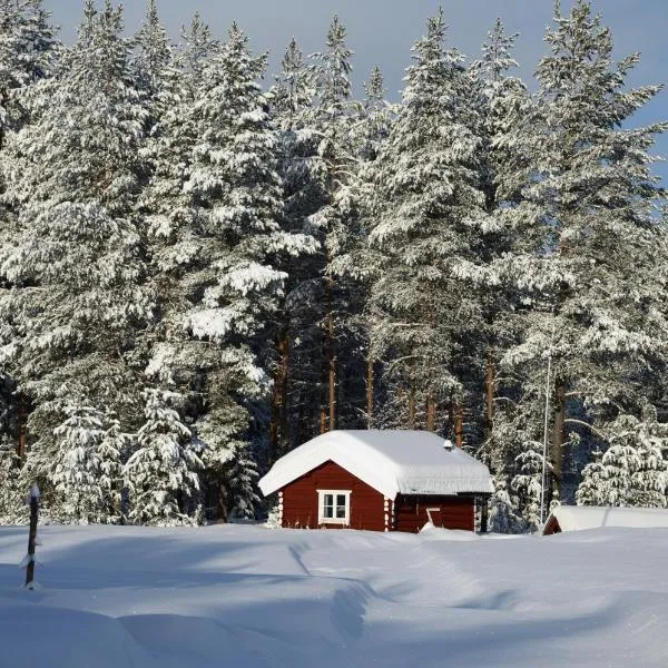 Hytte anno 1721 uten internett, strøm, vann - men med rødmalt utedo, hotel in Ljørdal