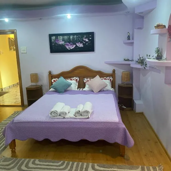 Central Home, hotel in Piatra Neamţ