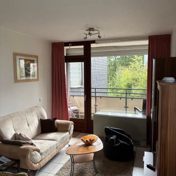 Francis Apartment am Mountainbike-Park,溫特貝格的飯店