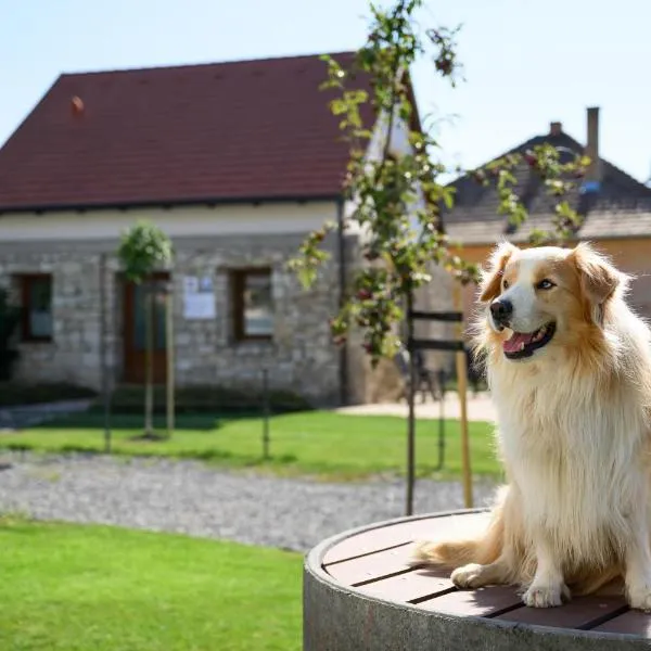 Madárdalos Kert és Vendégház, hotel in Tokaj
