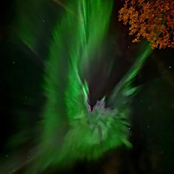 Romslig ferieleilighet nær sjøen Medby Senja, hôtel à Senja
