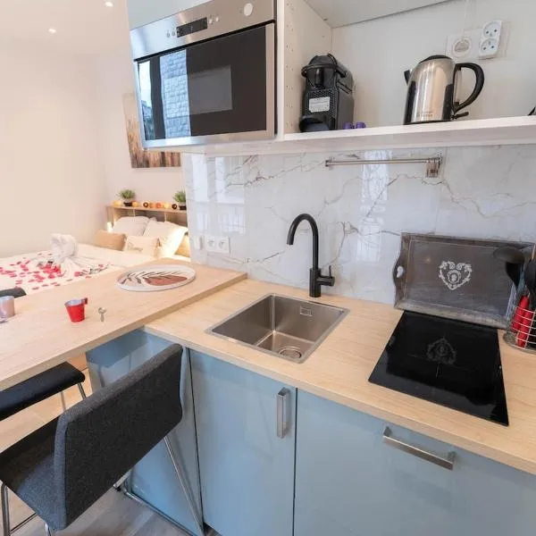 Nice Port studio avec grande baignoire, Hotel in Nizza