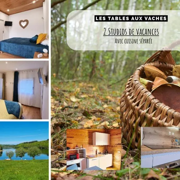 La Salvetat - Studios de vacances - Les Tables Aux Vaches、ラ・サルヴタのホテル