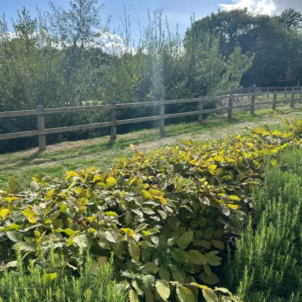 Beautiful 2 bedroom flat: North Stoneham şehrinde bir otel