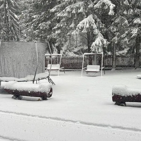 cabana mija, hotel i Jieţ