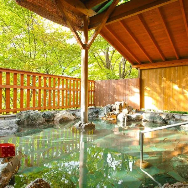Ooedo Onsen Monogatari Hotel Kinugawa Gyoen, hotel v destinácii Nikko