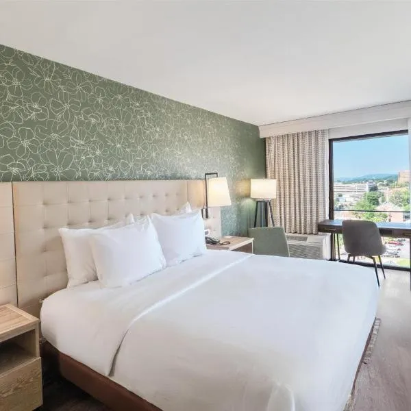 Hilton Birmingham Downtown at UAB, hotel in Birmingham