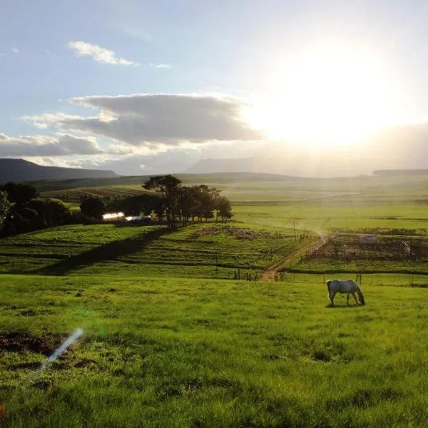Blarney Stone Cottage, hotel Killarney városában