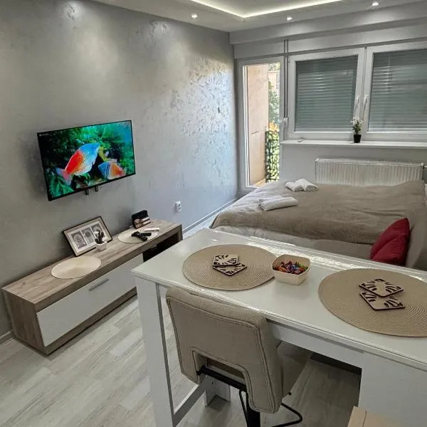 Sweet home, hotel in Bor