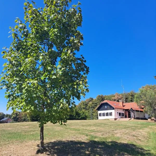 HOSTEL VANEČA, hotel in Puconci