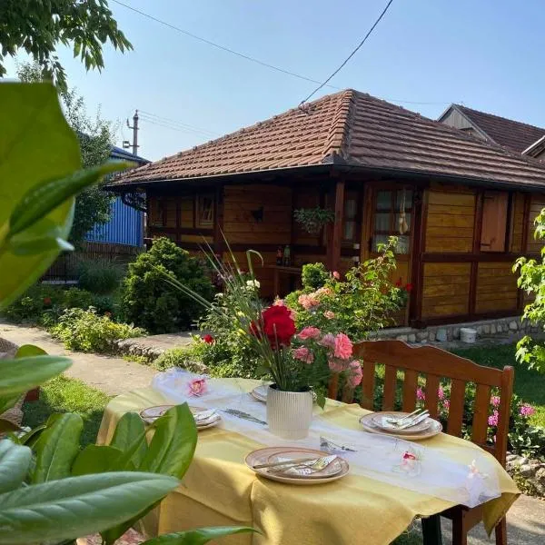Flowers Cabin, hotel en Valjevo