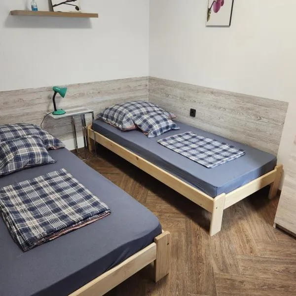 Friendly Guesthouse Kecskemét,位于凯奇凯梅特的酒店