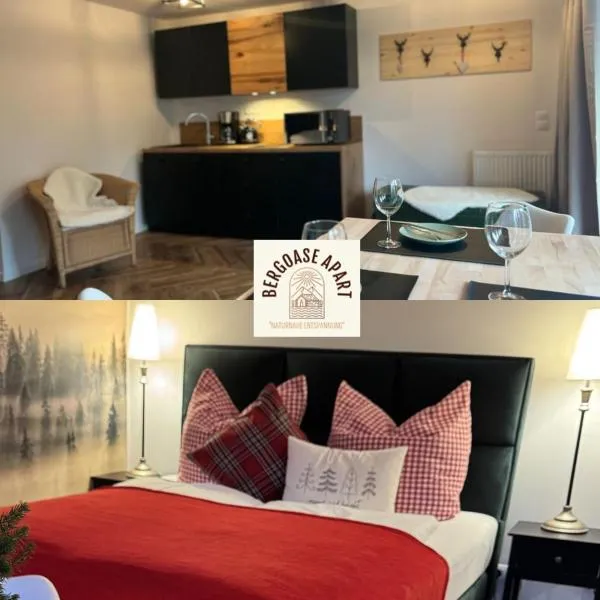 BergOase-Apart am Feldberg, Hotel in Feldberg (Schwarzwald)