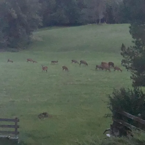 Alpine nest in Val di Zoldo, hotel v destinaci Forno di Zoldo