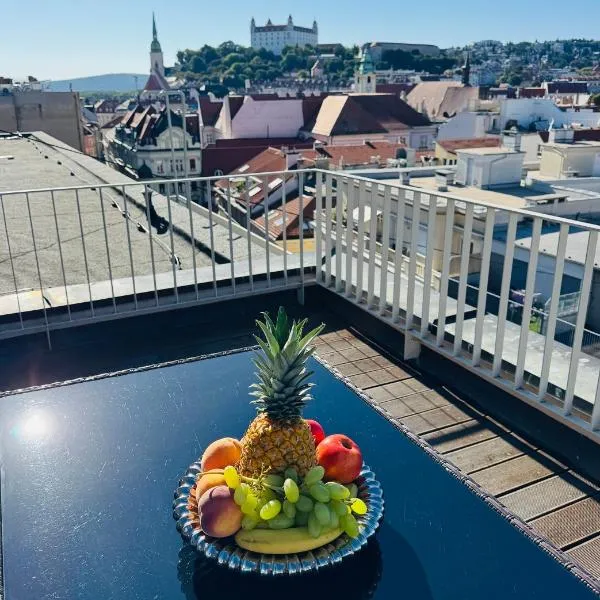 Luxury PENTHOUSE at the Historical Centre Parking, hotel v destinaci Bratislava