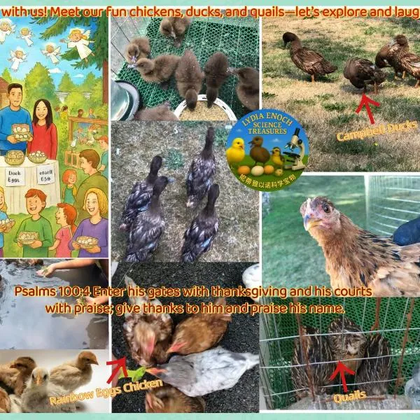 Lydia Enoch Sweet Family, hotel in Renton