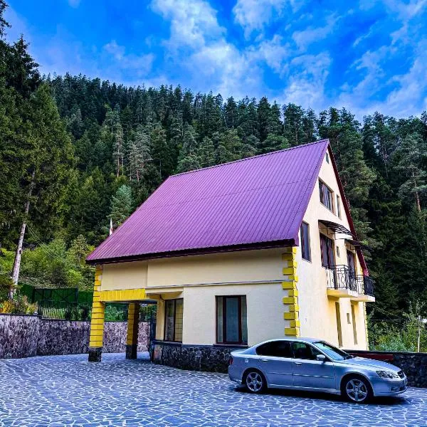 Hotel forest echo, hotel in Borjomi