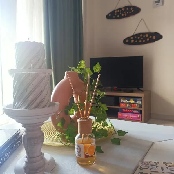 Efi's House, hotel di Florina