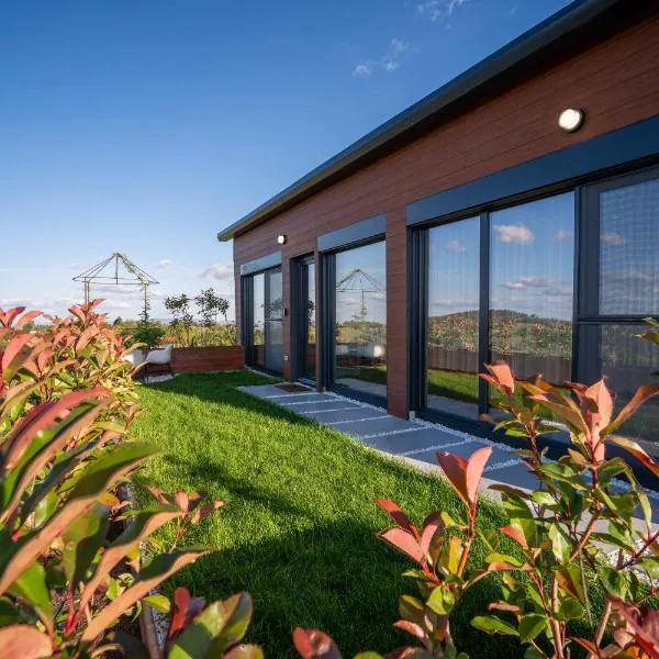 Casa Deluxe in Sinteu - intersectia intre modern si linistea naturii, hotel v destinaci Şinteu