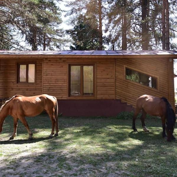 Villa Margarita 1, Белица