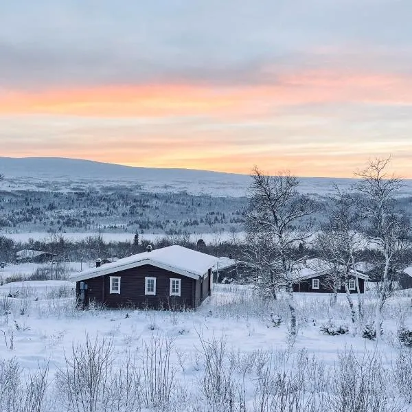 Tänndalen में, होटल Nobel Cabins - Tänndalen