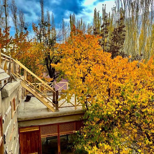 The 2 Magpies, Hunza, Alīābād