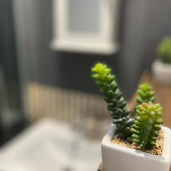 Cosy Home STUDIO, hotel in Croydon