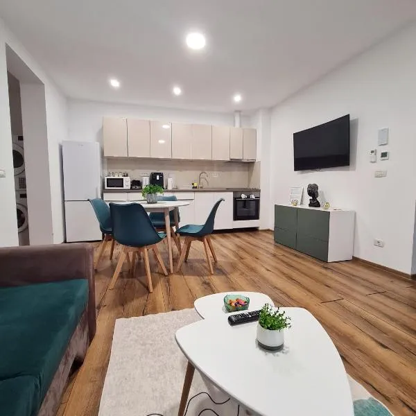 Esther Line Apartments - self check-in, free private parking，蒂米什瓦拉的飯店