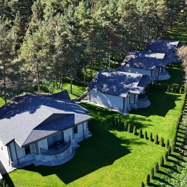 Hotel Dilijan Resort, viešbutis mieste Diližanas