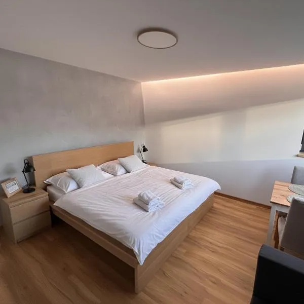 FamilyFitHouse, hotel en Bystřice