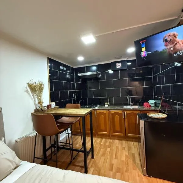 Punta Arenas loft, hotel in Punta Arenas