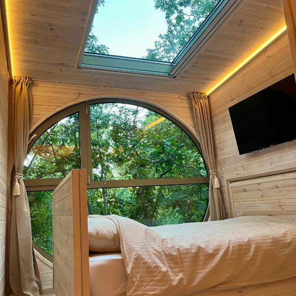 Furo Treehouse, Barajevo