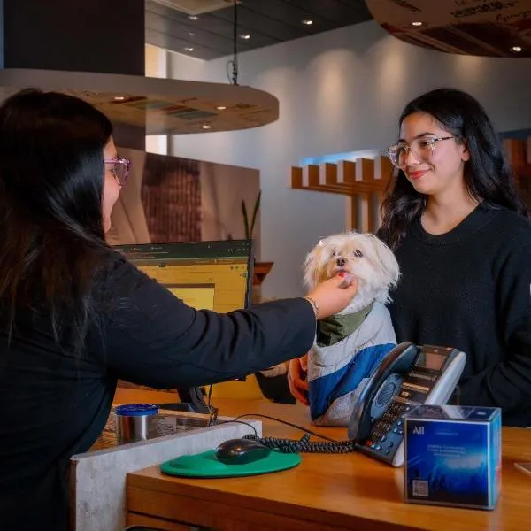 ibis Copiapo, hotel in Copiapó