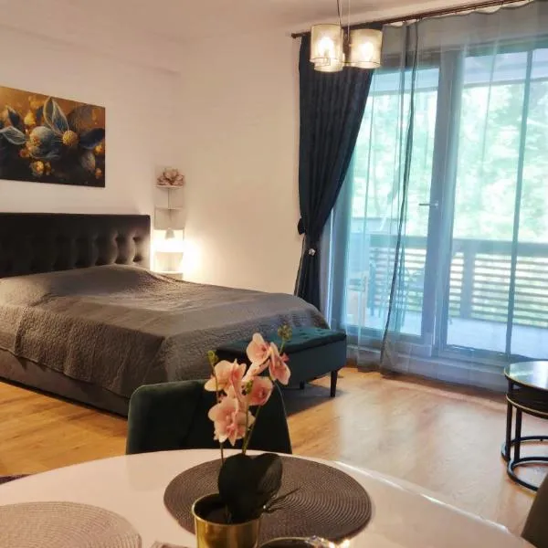 Ari Studio Clabucet, готель у місті Предял