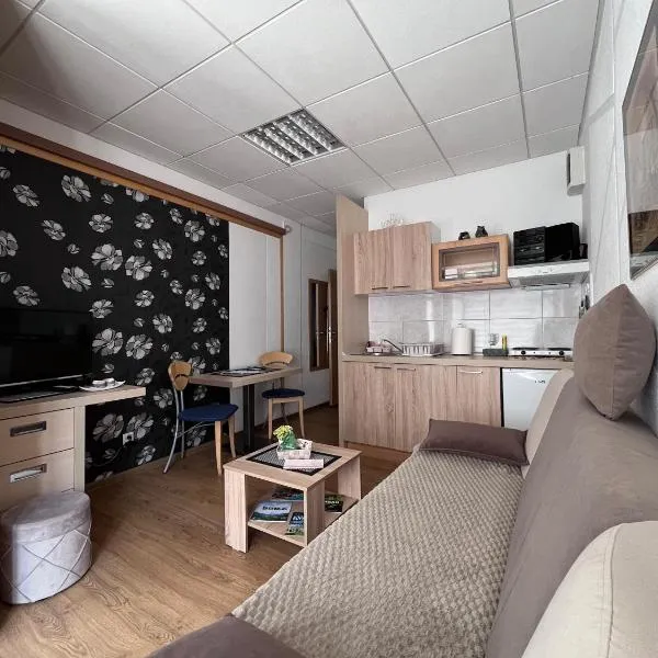 Apartment Čolović, hotel in Raška
