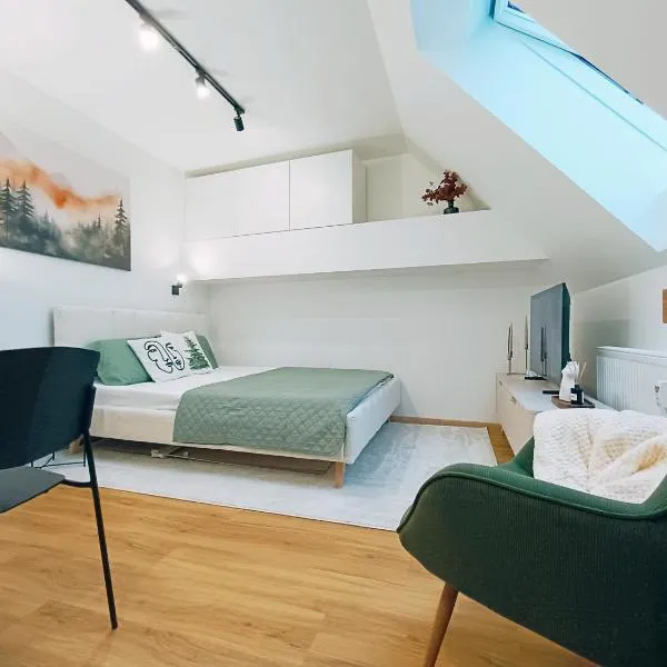 The Square & Cozy apartment, hotel v destinaci Dolný Kubín