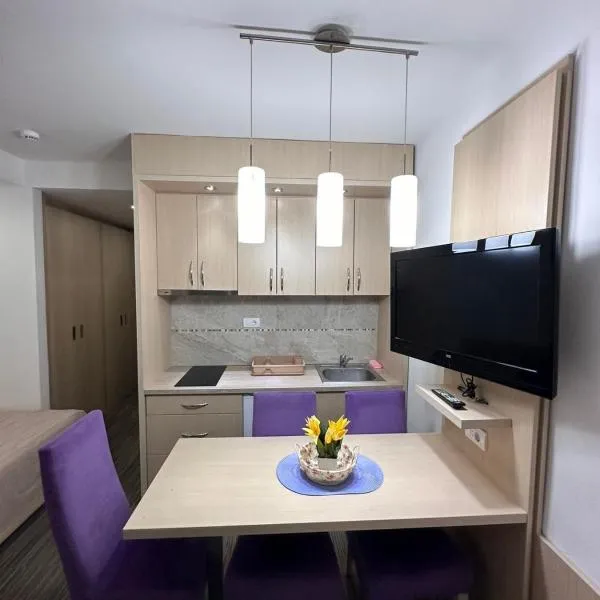 Angela 103، فندق في كوباونيك