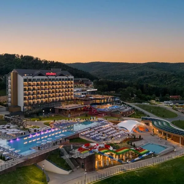 Movenpick Resort and Spa Fruske Terme, hotel in Vrdnik