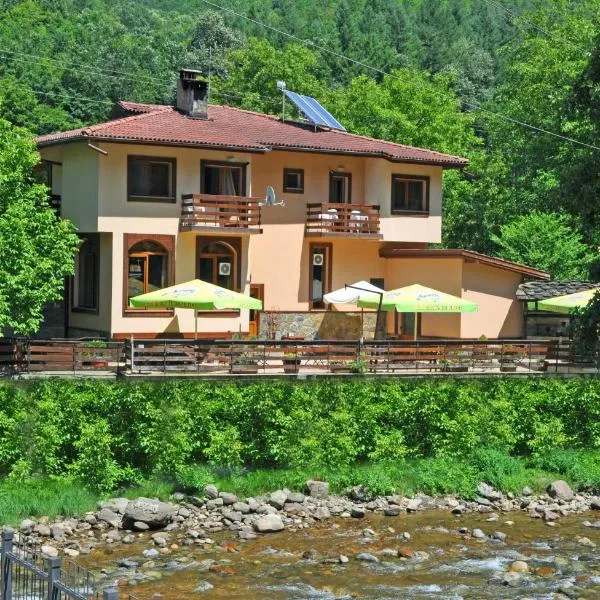 Family Hotel Fedora, hotel em Ribarica