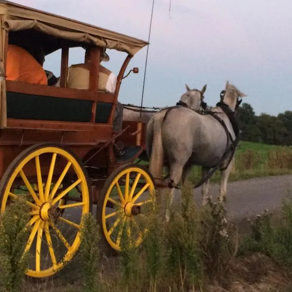 Ferienwohnungen "Am Mühlteich", hotel em Radeburg