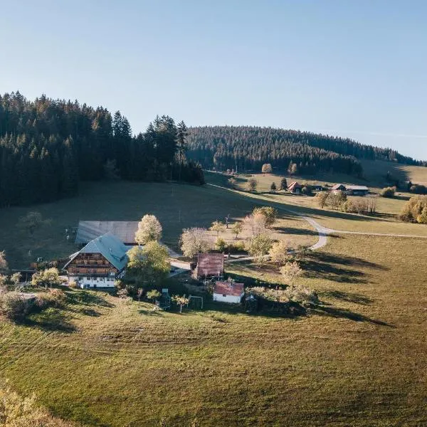 Sigmundenhof Schonach, hotel in Schonach