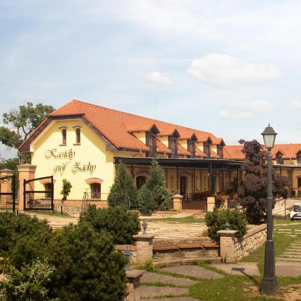 Kastély gróf Zichy,位于Haniska的酒店