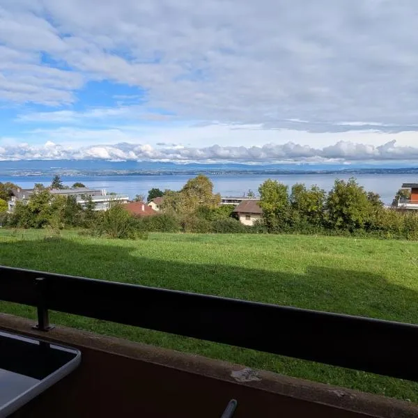 Le Panoramic Evian, hotel in Évian-les-Bains