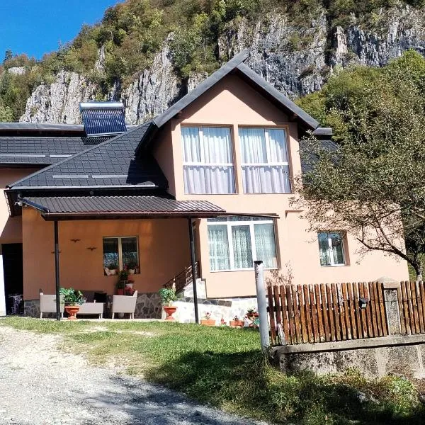 Casa Sara, hotel en Dîmbovicioara