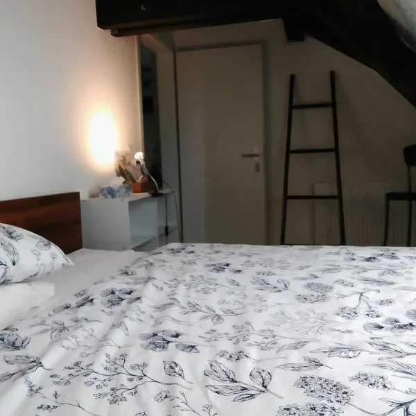 Basel Rühige Zimmer mit grösse Doppelbett, hôtel à Binningen