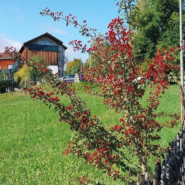 Privat-Zimmer in Hotel am Pfahl, hôtel à Viechtach