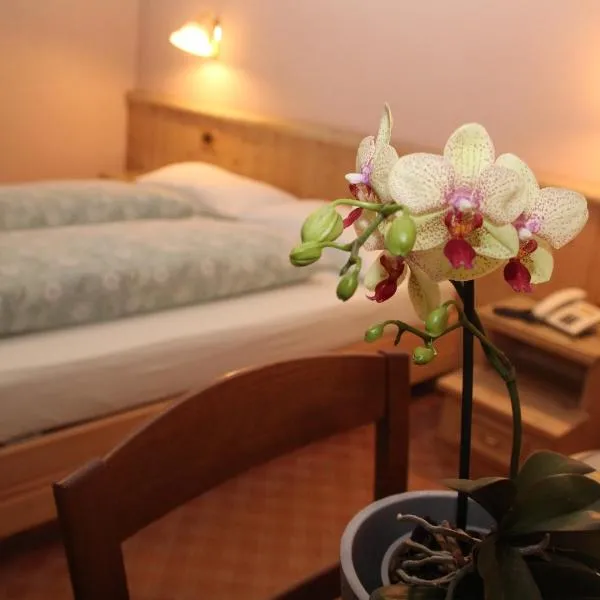 Albergo Caravasc, hotel v Livignu