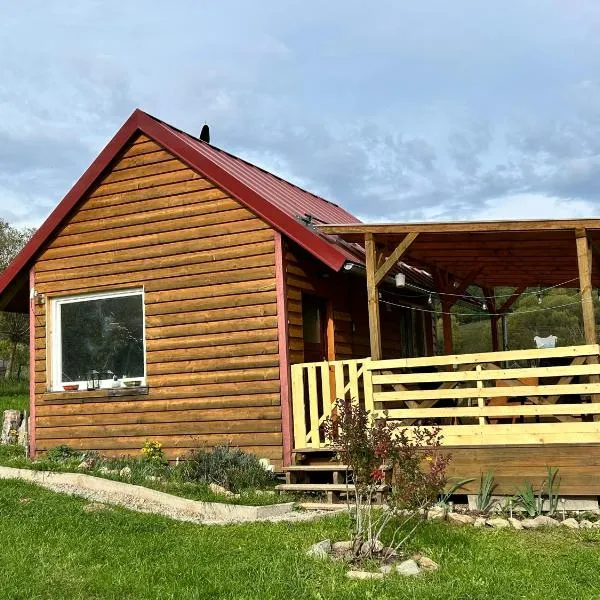Tiny House at Sedliacky Dvor - Brezno，位于布雷兹诺的酒店