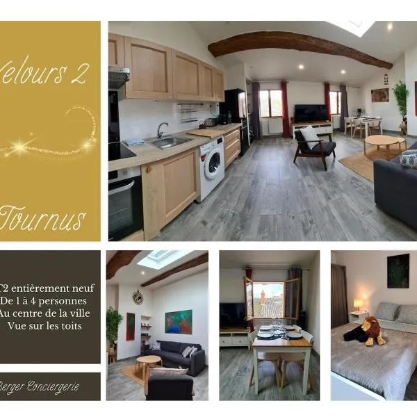 Velours 2, Spacieux, cozy, moderne, hotel in Tournus