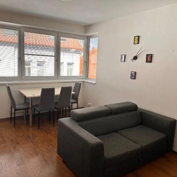 Apartmán AB kryté parkování zdarma，位于捷克布杰约维采的酒店